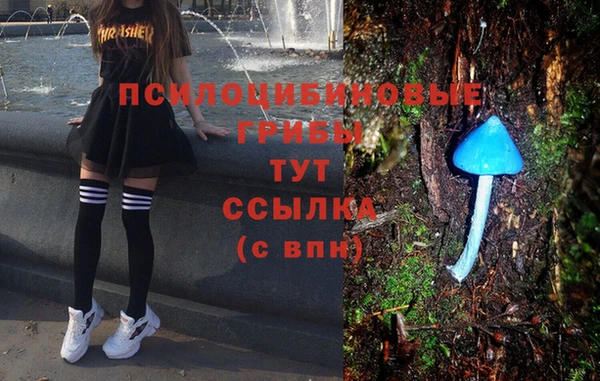 mdpv Алексеевка