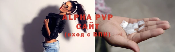 a pvp Алзамай