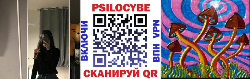 наркота  Лаишево  omg tor  Псилоцибиновые грибы мицелий 